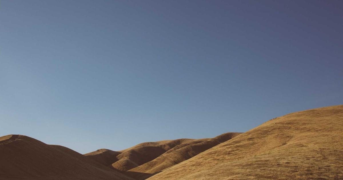 How Unilever is facing the challenges of the B2B market